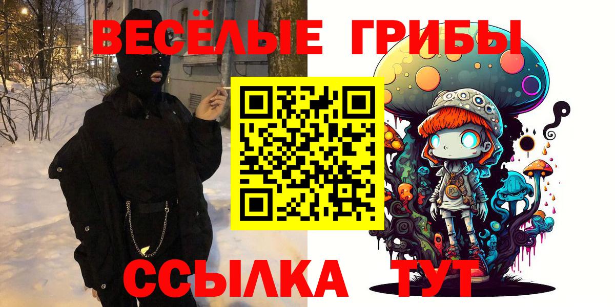 Псилоцибиновые грибы Cubensis Курчалой