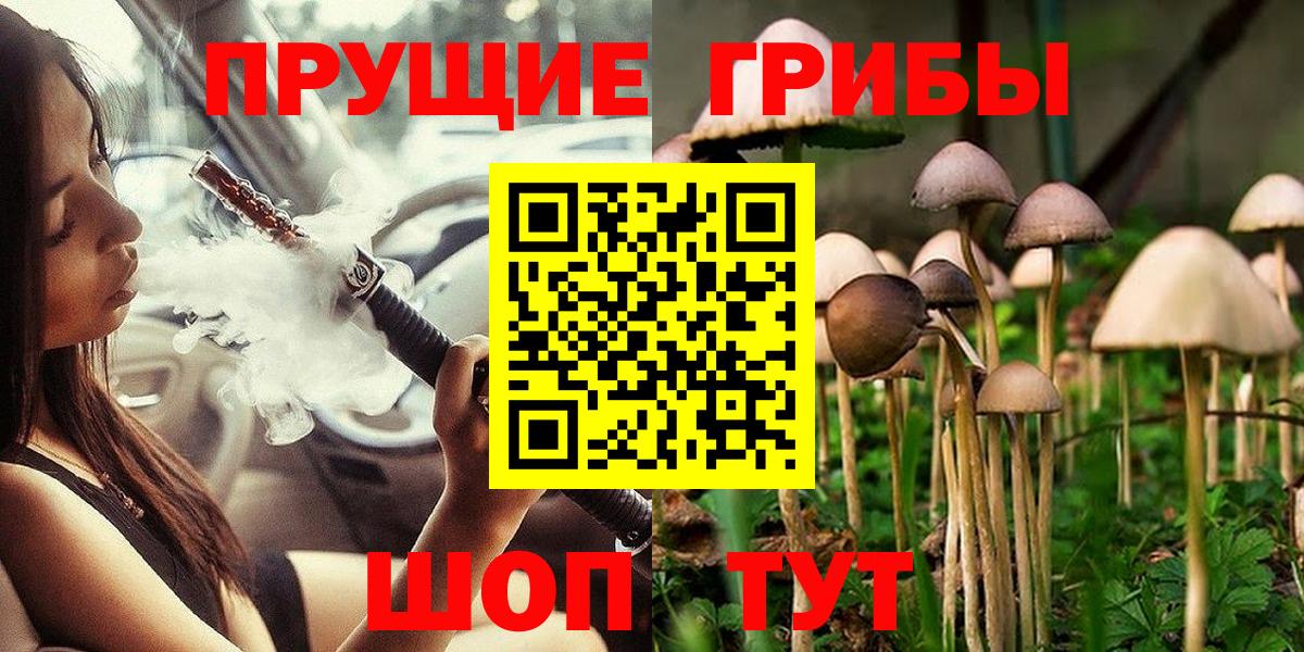 Псилоцибиновые грибы мухоморы  Вход с VPN  Псилоцибиновые грибы ЛСД  Курчалой 